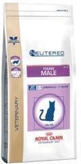 Royal Canin Young Male Feline